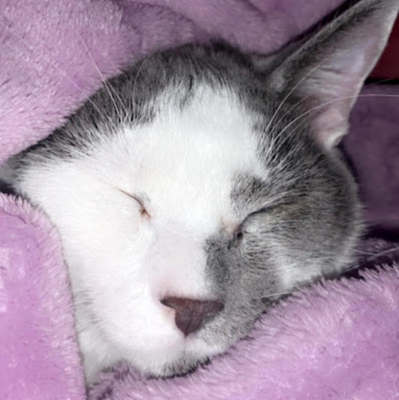 Meet your Posher, Becca - Picture 1 of 1